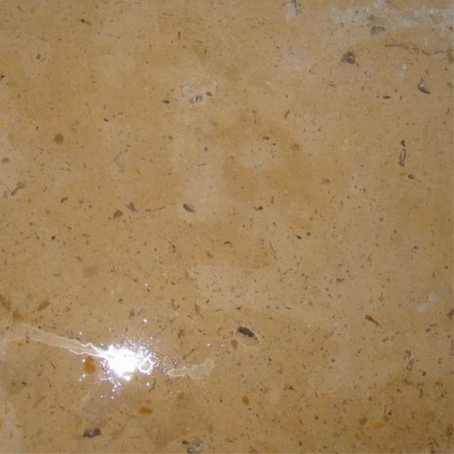honed filled travertino